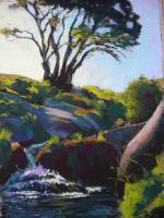 In Steeperton Gorge I