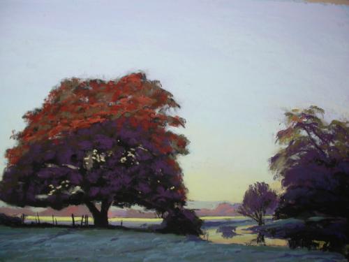 The Old Oak, Otter Valley, morning sun